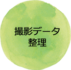 撮影データ整理
