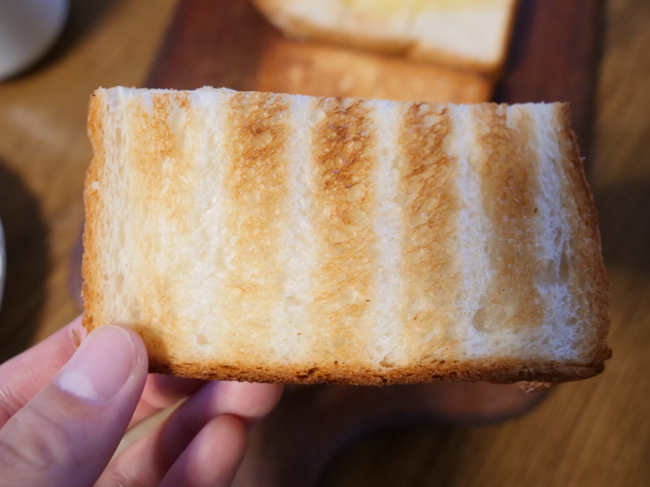 バルミューダ_裏面