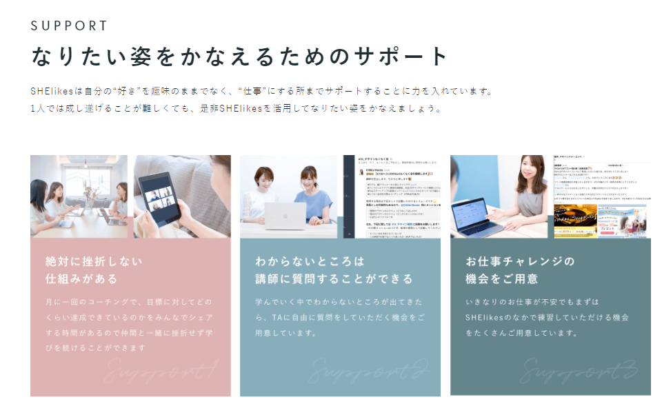 shelikes_メリデメ